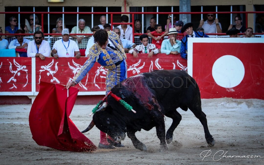 SAINT-GILLES (19.08.2023) – SOLALITO vainqueur de la Chaquetilla d’Or. Despreciado de Gallon primé …