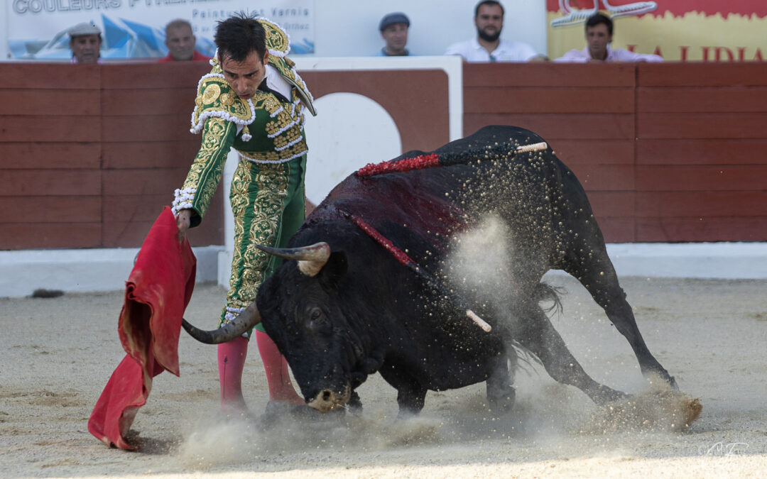 ORTHEZ (28.07.2024) – “PAULISTA” de Veiga Teixera et GOMEZ DEL PILAR raflent la mise …