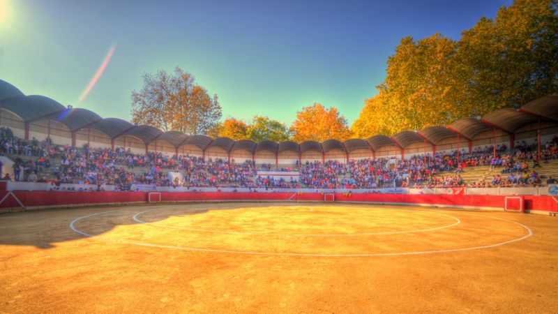 AIRE-SUR-L’ADOUR – Un programme attractif pour le cinquantenaire des Arènes Maurice Lauche.