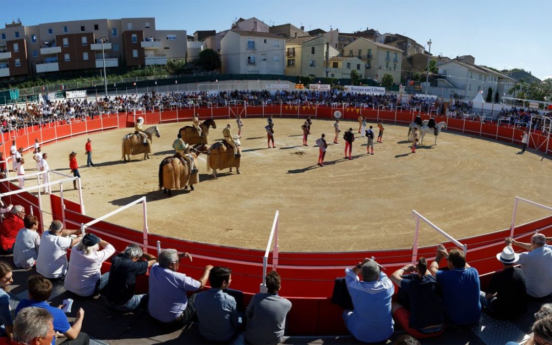 BOUJAN / LIBRON – Présentation des élevages pour Toros y Campo 2023 Acte VII …