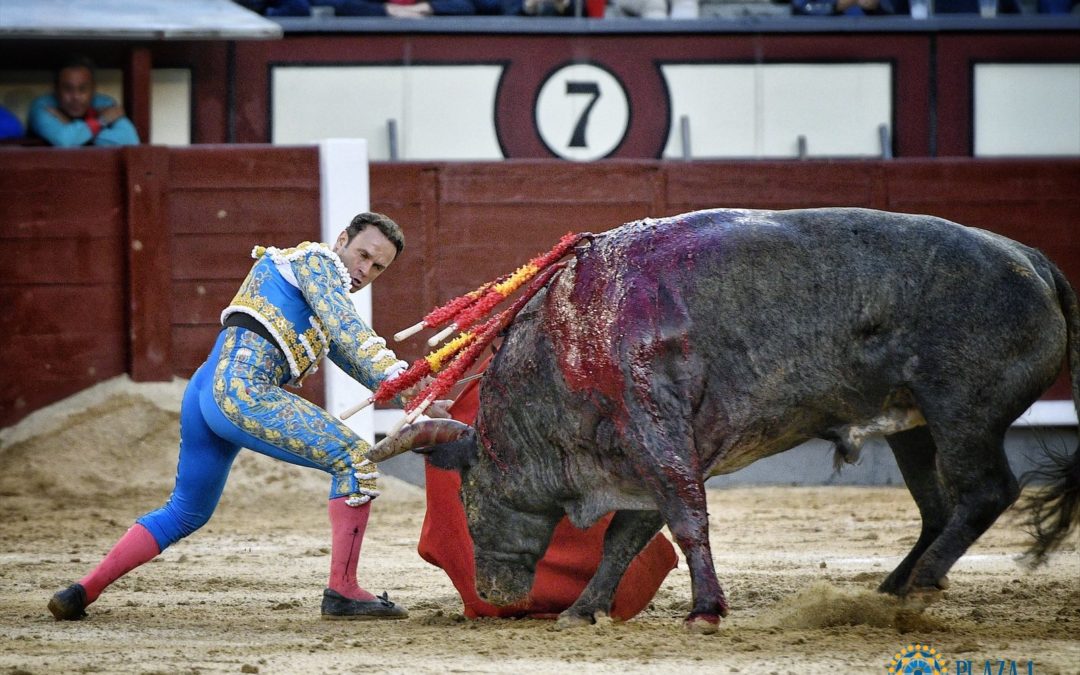 MADRID (03.10.2021) – Sept toros, peu d’éclats  et une oreille du sobrero de regalo pour le solo d’ANTONIO FERRERA.