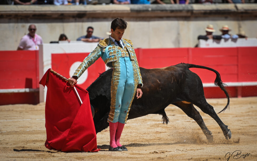 NÎMES (19.05.2024, matinale) – SAMUEL NAVALON s’impose devant la très bonne novillada de Piedras Rojas !