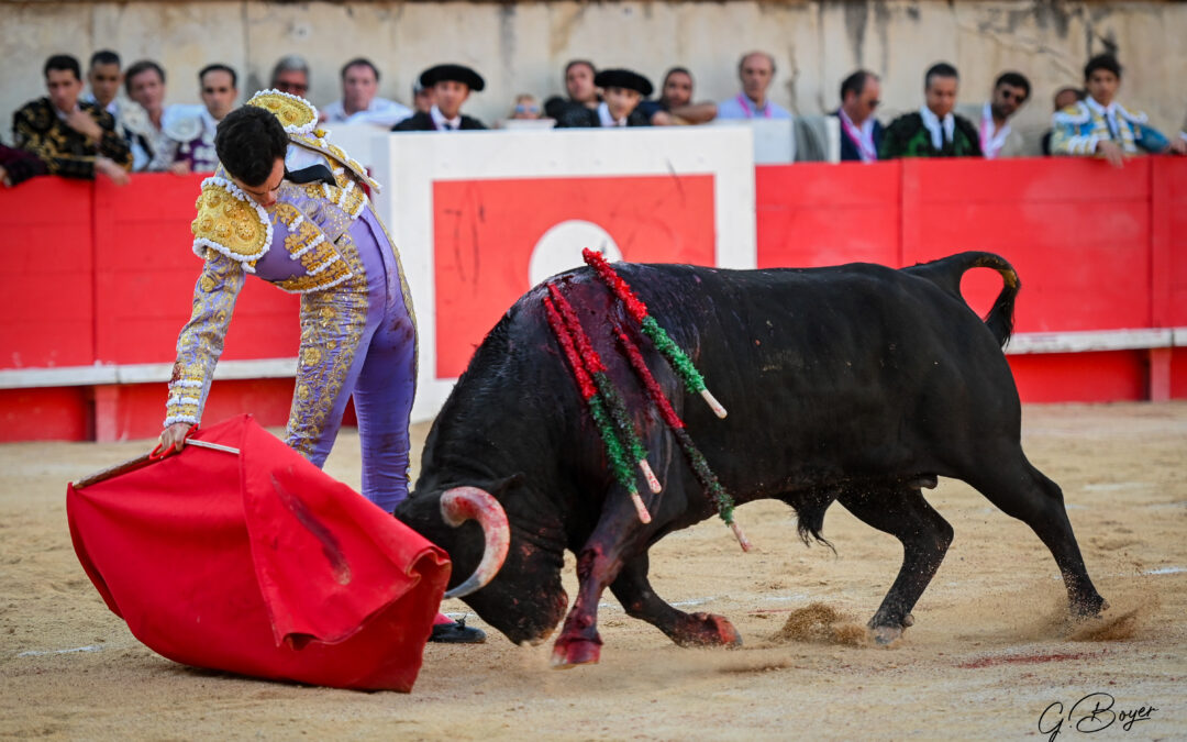 NÎMES (19.05.2024, tarde) – TOMAS RUFO nouveau consul de Nîmes face à une grande corrida de Victoriano del Rio…