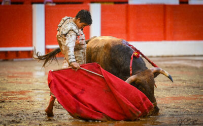 MADRID – MARCO PEREZ affrontera 6 novillos en solitaire !