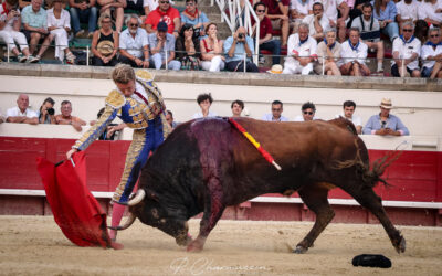 BEZIERS (18.08.2024, tarde) – CLEMENTE triomphe et “Neptune” retourne aux Monteilles …