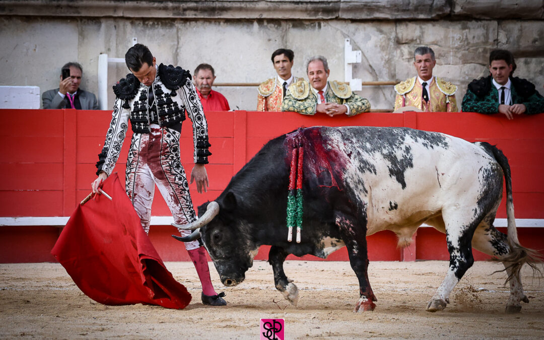 NÎMES (14.09.2024, tarde) – DANIEL LUQUE en figura del toreo ouvre la Porte des Consuls !