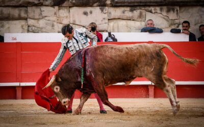 NÎMES (15.09.2024, tarde) – PABLO HERMOSO DE MENDOZA et JUAN ORTEGA coupent une oreille…